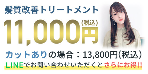 11,000円(税込)