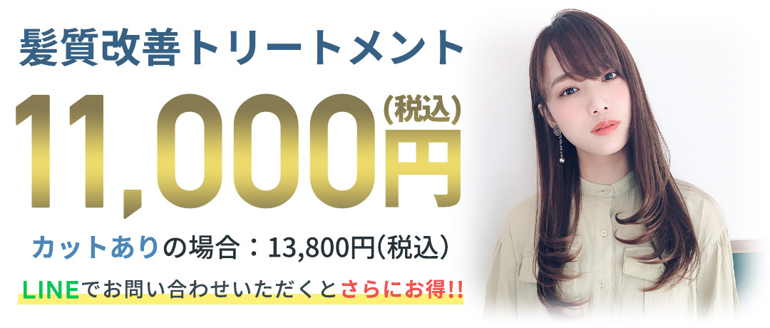 11,000円(税込)